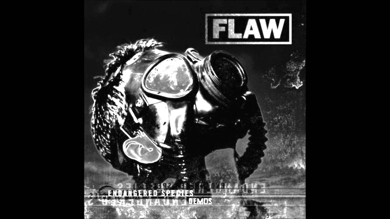 Flaw Flaw