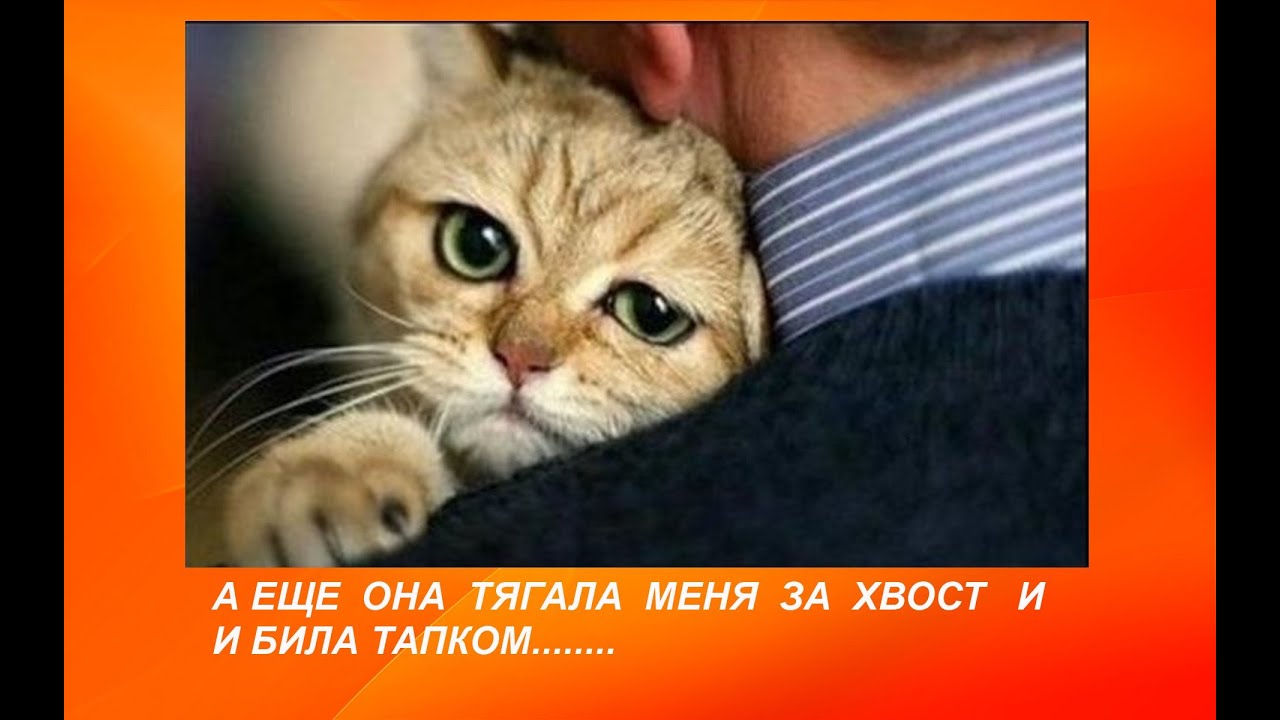 Открытка обманывать не хорошо Открытка обманывать не хорошо