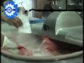 image Peluang Usaha Penggilingan Daging Sapi Di Pasar Untuk Bikin Bakso Sosis Infomesin 031 8499799
