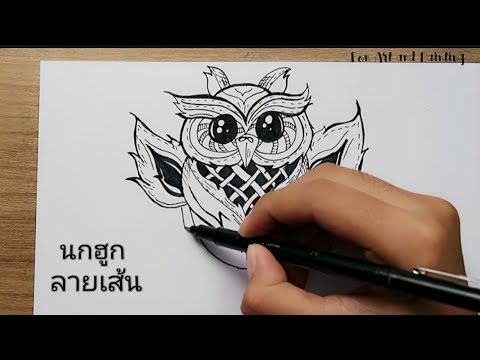 ภาพวาดลายเส้น นกฮูกสวยๆ | How to draw line