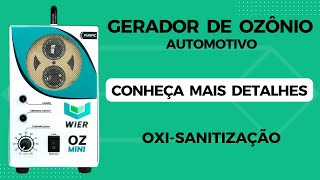 Gerador De Ozônio Automotivo Wier Ozmini Oxi Sanitização