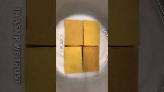 Block Sponges