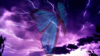 Watch Yahel Butterfly video