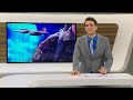Schweizerische Offiziere gegen den Gripen!