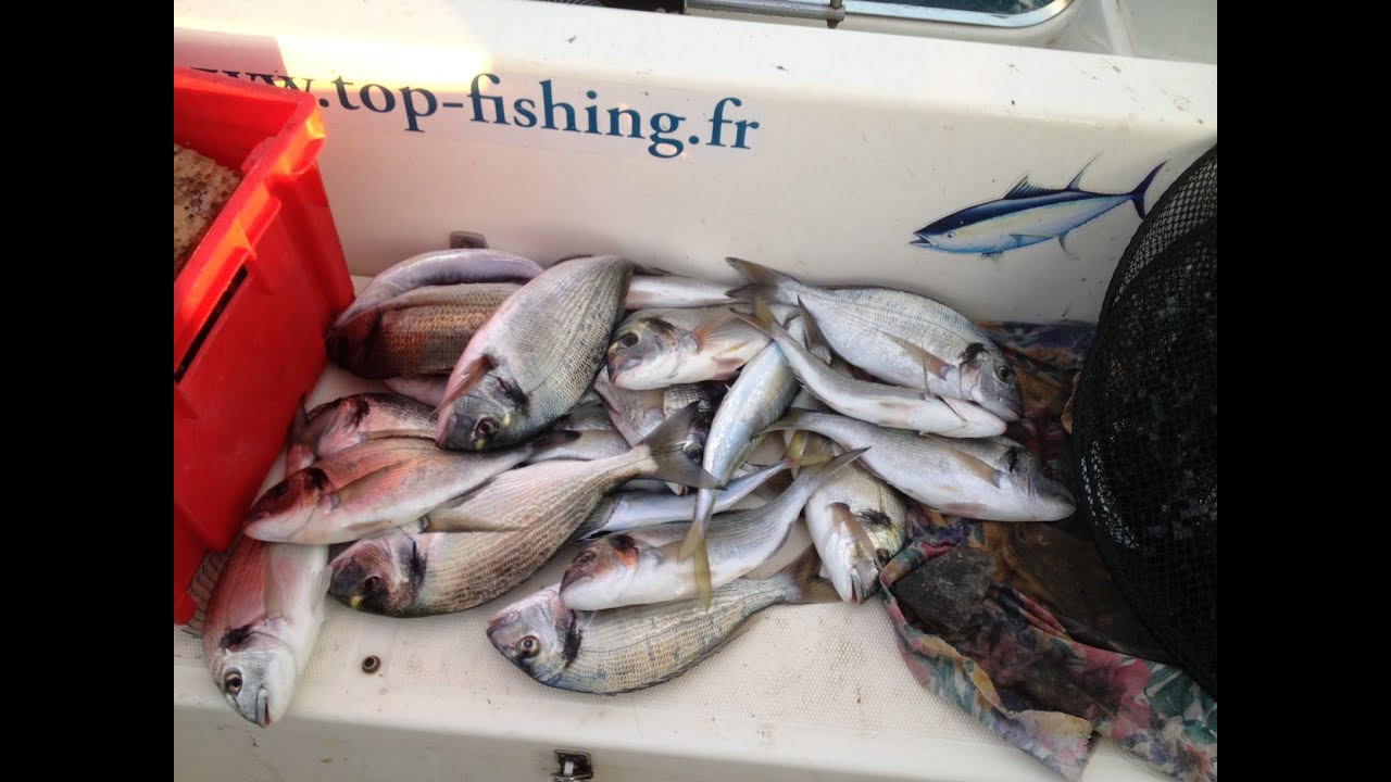Quelle voiture choisir pour la chasse de la pêche