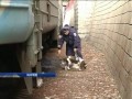 Видео Харьковская милиция ищет очередного псевдоминера
