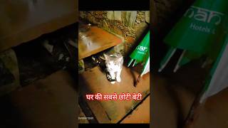 Mifya Edition Funny Moments Compilation