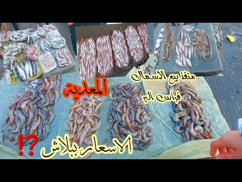 ارخص اكلة سمك ⁉️ممكن تجيبوها فحياتكم ياتري نجيبها منين ‼️وكميات اللهم بارك 🤔كنز في راس البر🤗⁉️ ارخص اكلة سمك ⁉️ممكن تجيبوها فحياتكم ياتري نجيبها منين ‼️وكميات اللهم بارك 🤔كنز في راس البر🤗⁉️