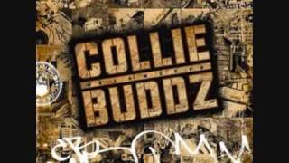 Watch Collie Buddz Hustle video