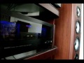 Miles Davis - Ascenseur pour l'échafaud - Générique - Rega P25