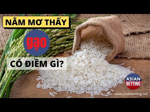Nằm mơ thấy gạo mang lại điểm báo ý nghĩa gì? | Asianbetting.net