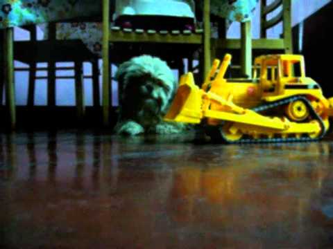 Bruder CAT Bulldozer RC Conversion