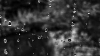 "Memory "-Alina Pisleaga