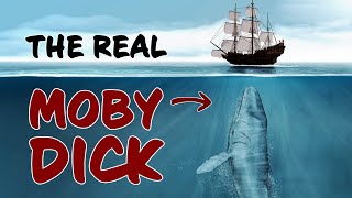 The Terrifying Story of the Real Moby Dick