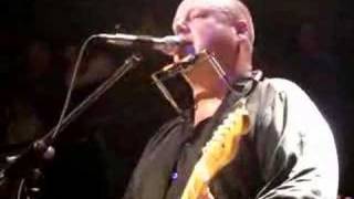 Watch Black Francis She Took All The Money video