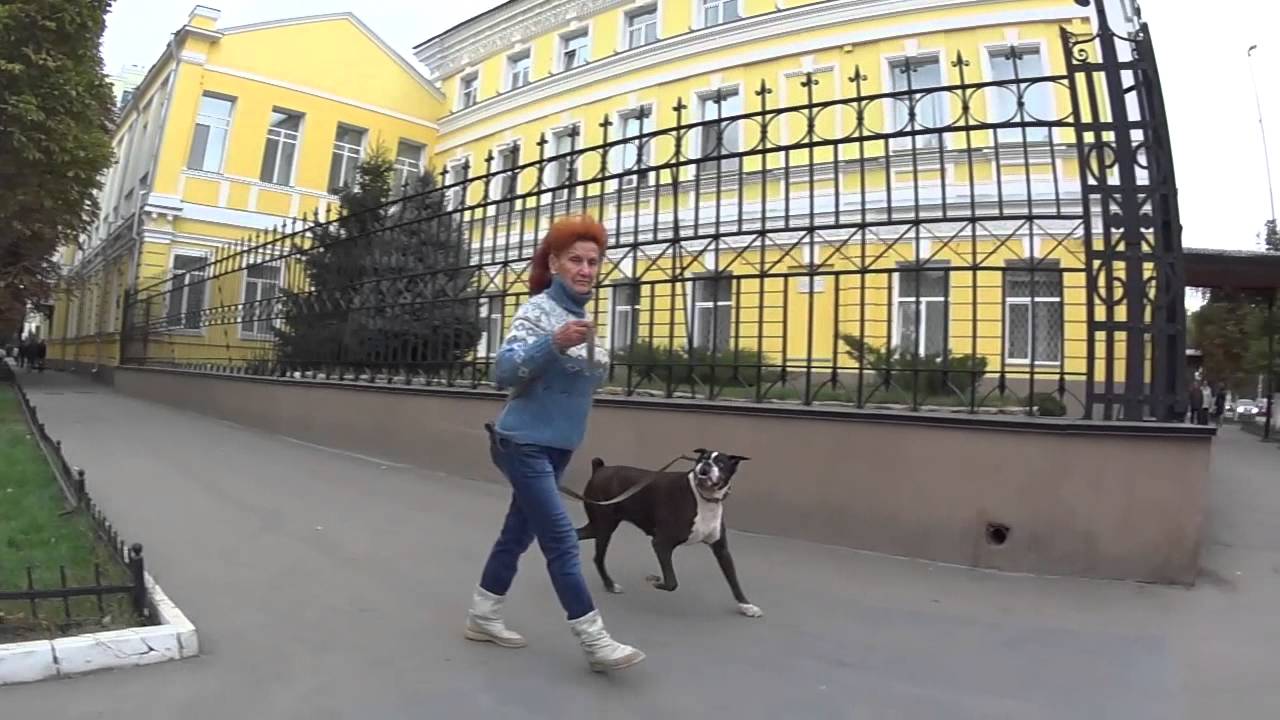 Киркоров снег песня скачать