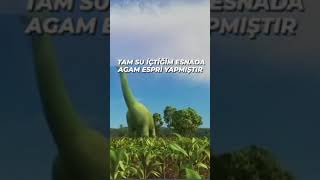 Tam Su Içtiğim Esnada Agam Bu Arada Filme Az Kaldı...