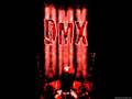 Dmx - some X shit