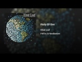 Party Of One Video preview
