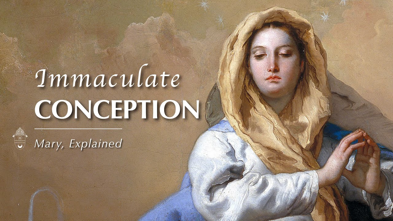 Catholic Diocese of Arlington on X: All you female saints surrounding the  throne of God and the Lamb in heaven, pray for us that we may imitate your  lives. #WomensHistoryMonth  /