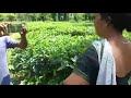 ক'ত কৰিছিলি ক'||Assamese #viral videos||romantic||outdoor cought camera||