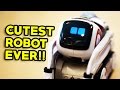 THE CUTEST ROBOT EVER!!