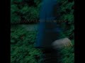 Bluebottle Kiss-Gangsterland