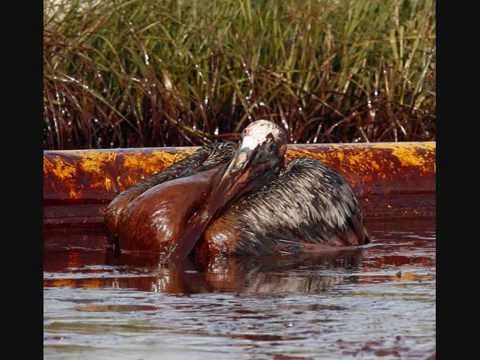 Oil Spill 2010 Please Read Discription