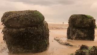 Aelita Red - Sea + Land = Sand