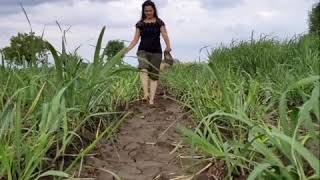 Prajakta Gaikwad Mam Is In The Farm