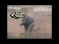 Grenade Toss Fail In Syria