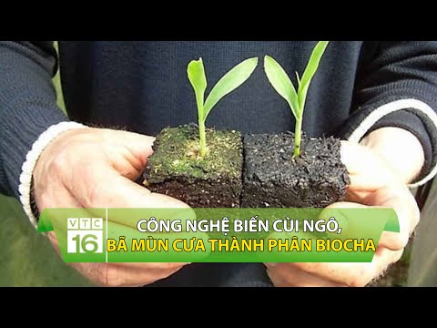Công nghệ biến cùi ngô, bã mùn cưa thành phân Biochar | VTC16