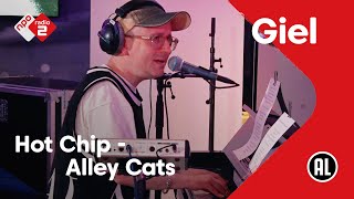 Watch Hot Chip Alley Cats video