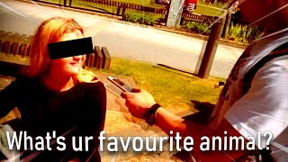 What's Your Favourite Animal?