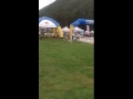 CAMPIONATO NAZIONALE CANICROSS 2016 - 17- 18 settembre - Santa Maria Maggiore - video 2 CAMPIONATO NAZIONALE CANICROSS 2016 - 17- 18 settembre - Santa Maria Maggiore - video 2