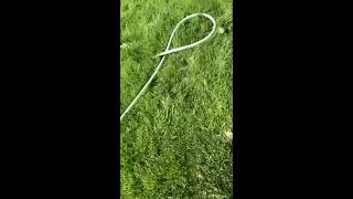 Coke And Mentos Fishing Hole, Catches Fish