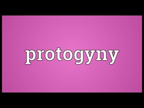Header of protogyny