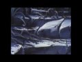 Ranker Video