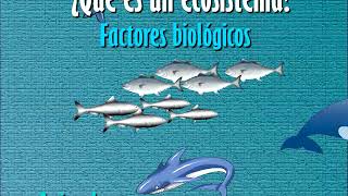 Factores Físicos Y Biológicos Que Forman Un Ecosistema. 4O Grado