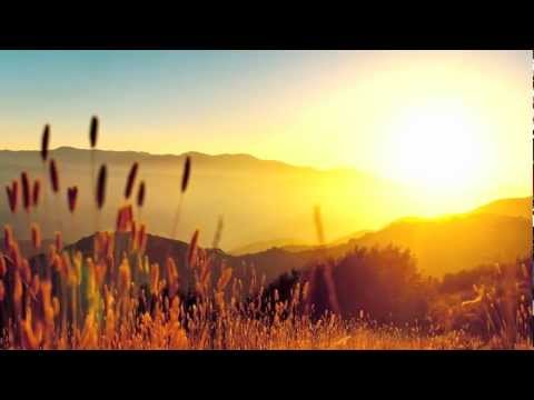 A Thousand Tiny Pieces Video