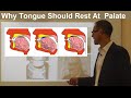 Should Tongue Rest/ Touch at the Palate/ Maxilla/ Roof of the Mouth By Dr Mike Mew