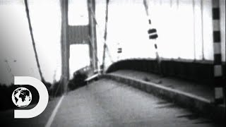Only Casualty In Massive Bridge Collapse Is A Pet Dog | Disasters Engineered