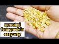 How to grow Or make fenugreek sprouts at home| sprouted fenugreek|fenugreek seeds sprouts