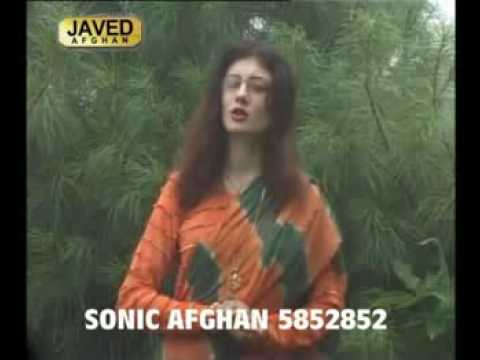 Nazia Iqbal Tapay