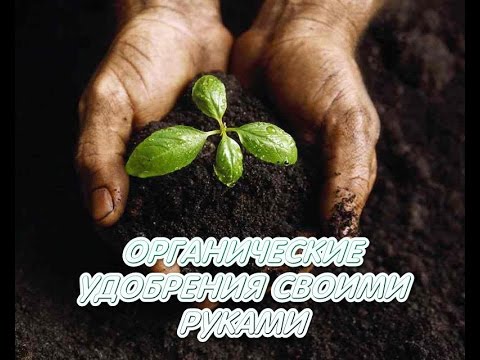 Семеноводство своими руками Семеноводство своими руками