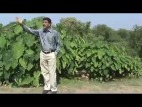 AGAR BEWAFA TUJHKO PAHECHAN JATE