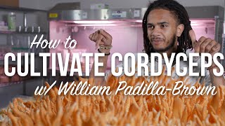 How To Cultivate Cordyceps Militaris Mushrooms With William Padilla-Brown Grow In Jars Or Bins