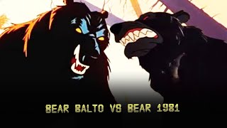 Bear Balto Vs Bear 1981