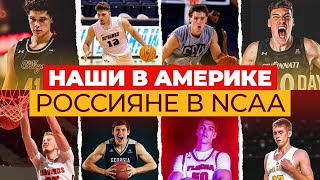 Русские Баскетболисты В Ncaa | Откуда Появились, Сколько Их, Где Играют И Как У Них Дела