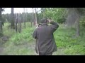 A six pointer roebuck missed... and hit. Roe deer hunting in Poland.